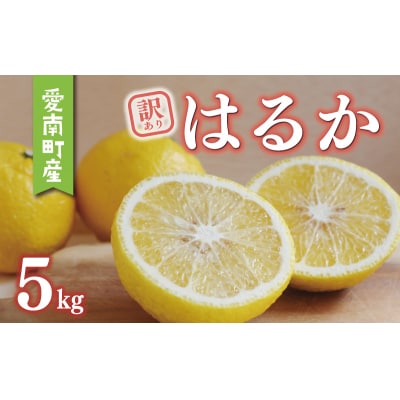訳あり はるか 5kg みかん あいなんマザーズ 愛南町 愛媛県