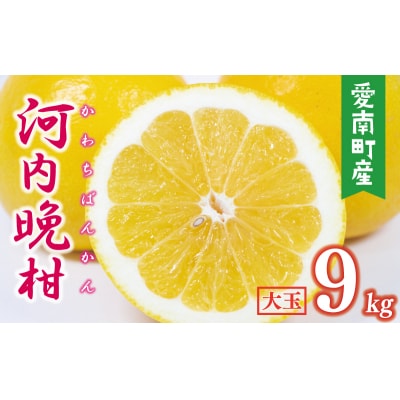 数量限定 先行受付 河内晩柑 樹齢 25年以上 大玉 9kg みかんの山祥 愛南町 愛媛県
