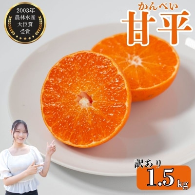 【発送期間:2027年2月～】甘平(かんぺい) 訳あり 約1.5kg 吉本農園