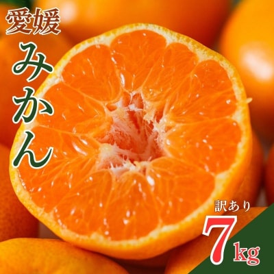 【訳あり】 愛媛みかん 7kg みかん 愛媛県 愛南町 吉本農園