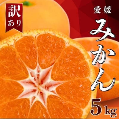 【発送期間:2026年10月～】訳あり 愛媛みかん 5kg みかん 愛媛県 愛南町 吉本農園