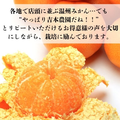 【発送期間:2026年10月～】訳あり 愛媛みかん 5kg みかん 愛媛県 愛南町 吉本農園