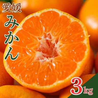 ���Q�݂��� 3kg �݂��� �~�J�� ���Q�� ���쒬 �L�@�͔| �g�{�_��