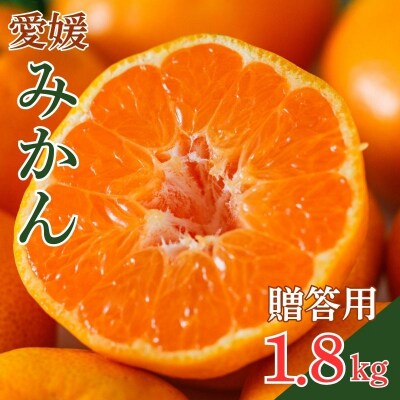 【発送期間:2026年10月～】贈答用 愛媛みかん 1.8kg みかん 愛媛県 愛南町 吉本農園