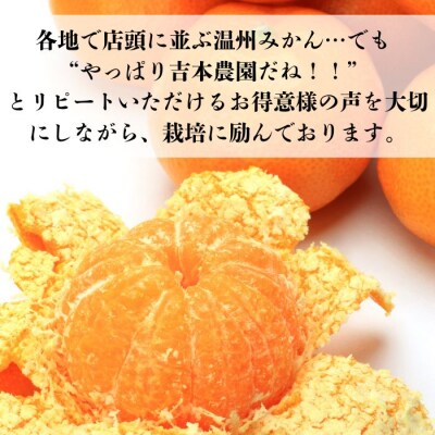 【発送期間:2026年10月～】贈答用 愛媛みかん 1.8kg みかん 愛媛県 愛南町 吉本農園