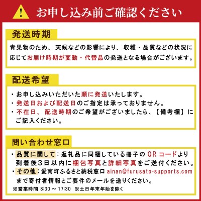 【発送期間:2026年10月～】贈答用 愛媛みかん 1.8kg みかん 愛媛県 愛南町 吉本農園
