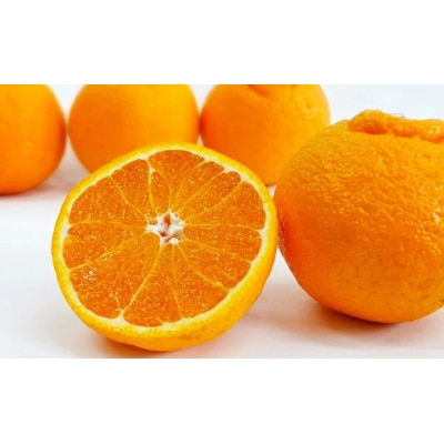 数量限定 先行受付 不知火 3kg しらぬい みかん 吉田農園 愛南町 愛媛県