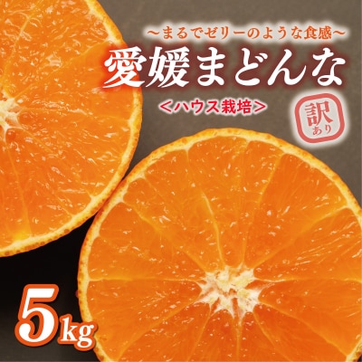 先行受付 数量限定 ハウス栽培 訳あり まどんな 5kg みかん 前田ファーム 愛南町 愛媛県