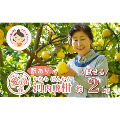 ���ʌ��� ��s��t �󂠂� �͓��ӊ� 2kg �݂��� �����Ȃ�}�U�[�Y ���쒬 ���Q��