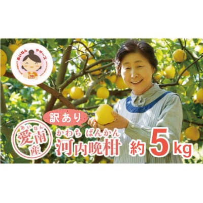 ���ʌ��� ��s��t �󂠂� �͓��ӊ� 5kg �݂��� �����Ȃ�}�U�[�Y ���쒬 ���Q��