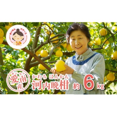 ��s��t �͓��ӊ� 6kg �݂��� �����Ȃ�}�U�[�Y ���쒬 ���Q��