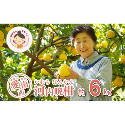 数量限定 先行受付 河内晩柑 6kg みかん あいなんマザーズ 愛南町 愛媛県