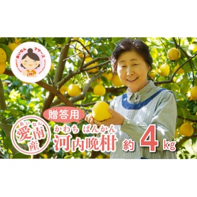 数量限定 先行受付 贈答用 河内晩柑 4kg みかん あいなんマザーズ 愛南町 愛媛県