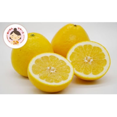 数量限定 先行受付 贈答用 河内晩柑 4kg みかん あいなんマザーズ 愛南町 愛媛県