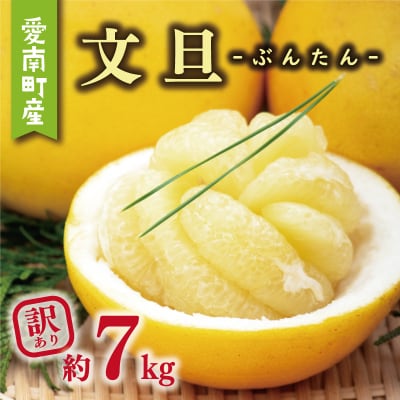 訳あり 文旦 7kg + 傷み補償 500g ミッチーのおみかん畑 愛南町 愛媛県