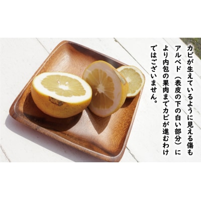 訳あり 文旦 7kg + 傷み補償 500g ミッチーのおみかん畑 愛南町 愛媛県