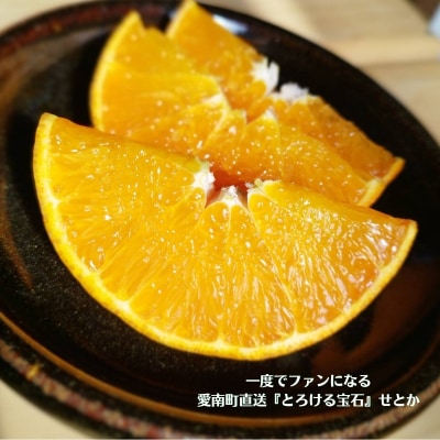 【 訳あり 】せとか 3kg 柑橘 みかん 中平農園 愛媛県 愛南町