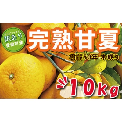 数量限定 先行予約 訳あり 木成り 完熟 甘夏 10kg 7000円 あいなん総合ファクトリー