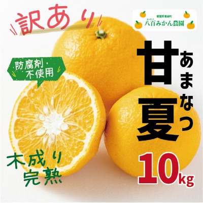  【先行予約】八百みかん農園 訳あり 完熟 甘夏 10kg (発送:2027年3月上旬~)