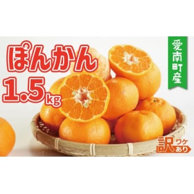 【先行予約:2027年1月初旬～】お試し用 訳あり ポンカン 1.5kg ミッチーのおみかん畑