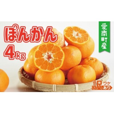 【先行予約:2027年1月初旬～】訳あり ポンカン 4kg みかん ぽんかん ミッチーのおみかん畑