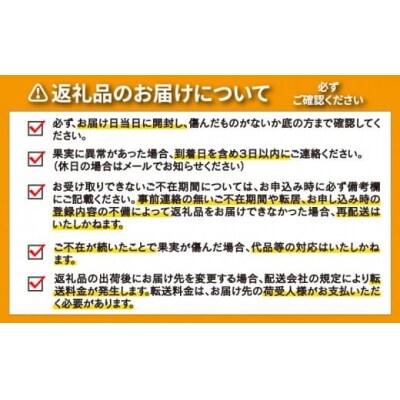 【先行予約:2027年1月初旬～】訳あり ポンカン 4kg みかん ぽんかん ミッチーのおみかん畑