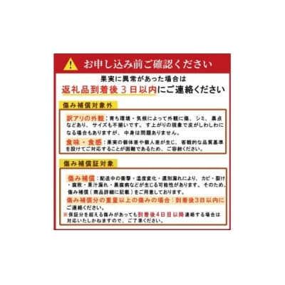 【 2026年 発送 先行予約 】甘夏 10kg 山口農園