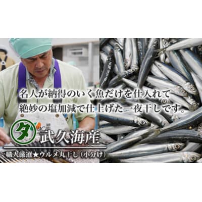 訳あり 魚の 丸干し & 開き おまかせ セット 2.5kg 株式会社武久海産