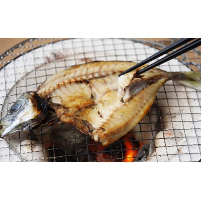 訳あり 魚の 丸干し & 開き おまかせ セット 2.5kg 株式会社武久海産