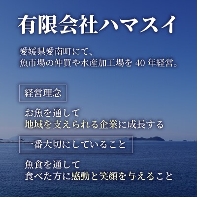 希少部位のみ ブリの漬け丼 100g×10p 有限会社ハマスイ