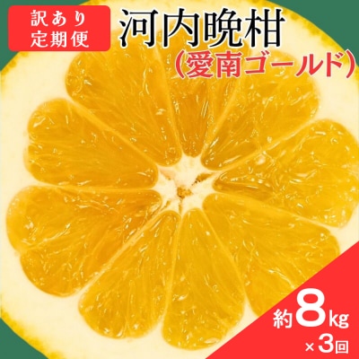 訳あり 愛南ゴールド ( 河内晩柑 ) 旬の定期便 全3回 8kg 愛媛県 愛南町 愛なんよ
