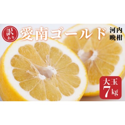 訳あり 愛南ゴールド 大玉 7kg 河内晩柑 和家農園