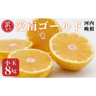 訳あり 愛南ゴールド 小玉 8kg 河内晩柑 和家農園