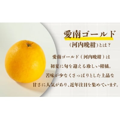 訳あり 愛南ゴールド 小玉 8kg 河内晩柑 和家農園