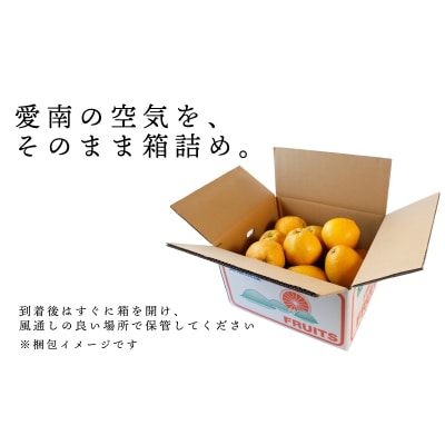 訳あり 愛南ゴールド 小玉 8kg 河内晩柑 和家農園