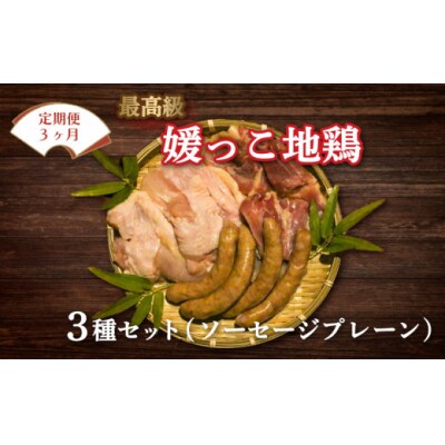 定期便 3回 数量限定 最高級 ブランド 地鶏 媛っこ地鶏 セット3種 ソーセージ プレーン 鶏肉 
