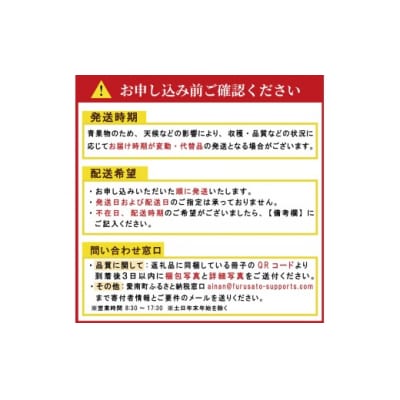 贈答用 美生柑 みしょうかん 約 7.5kg 河内晩柑 フルーツアイランドマルエム直販 愛南町