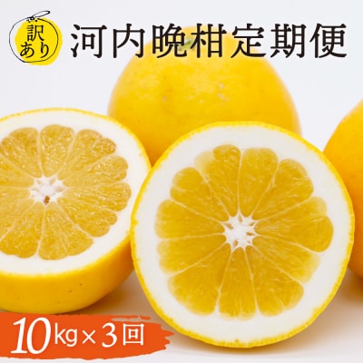 定期便 訳あり 河内晩柑 10kg 3回発送 5月 6月 7月発送 送料無料 山口農園