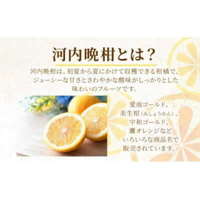 定期便 訳あり 河内晩柑 10kg 3回発送 5月 6月 7月発送 送料無料 山口農園