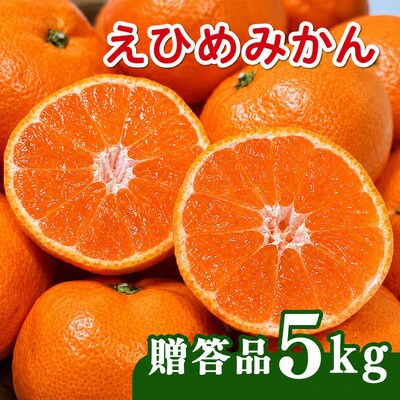 【先行予約】贈答用 愛媛みかん 5kg 発送時期 2026年11月以降 清家ばんかんビレッジ