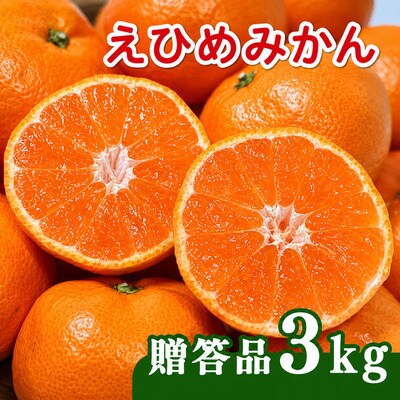 【先行予約】贈答用 愛媛みかん 3kg 発送時期 2026年11月以降 清家ばんかんビレッジ