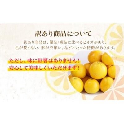 定期便 訳あり 河内晩柑 7kg 3回 5月 6月 7月発送 送料無料 愛媛 愛南ゴールド