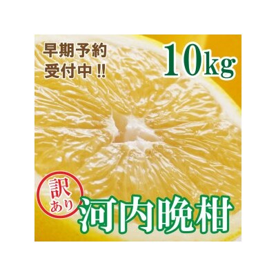 【先行予約 26年6月ごろ発送開始】訳あり 河内晩柑 ばんかん 約 10kg 不揃い マルエム直販