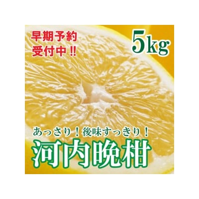 【先行予約 26年6月ごろ発送開始】河内晩柑 ばんかん 約 5kg 家庭 マルエム直販 愛南町