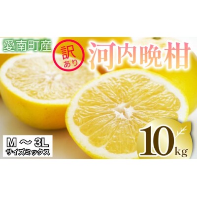  訳あり 河内晩柑 10kg サイズミックス 家庭用 清家ばんかんビレッジ