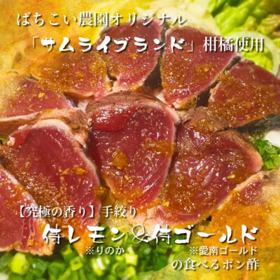 鰹のタタキ 専用 ポン酢醤油 200ml 2本セット 手作り 究極 自家製 かつお ばちこい 
