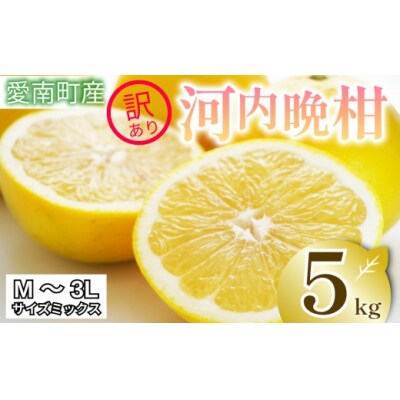  訳あり 河内晩柑 5kg  お試し 家庭用 樹齢 20年 清家 古木 愛南町