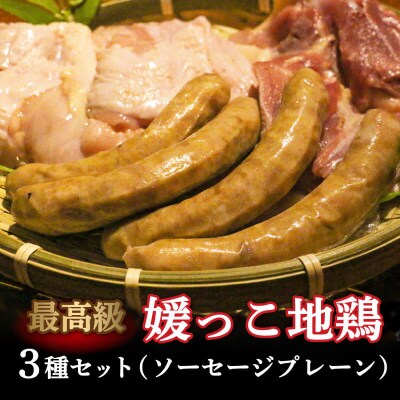 数量限定 最高級ブランド地鶏 媛っこ地鶏 セット3種 ローカルスタンダード 
