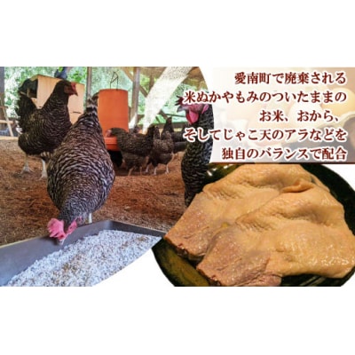 地鶏 愛媛 媛っこ地鶏 もも むね ささみセット 約1.7kg 鶏肉 鳥肉 肉 チキン むね肉 もも