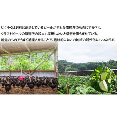 地鶏 愛媛 媛っこ地鶏 もも むね ささみセット 約1.7kg 鶏肉 鳥肉 肉 チキン むね肉 もも